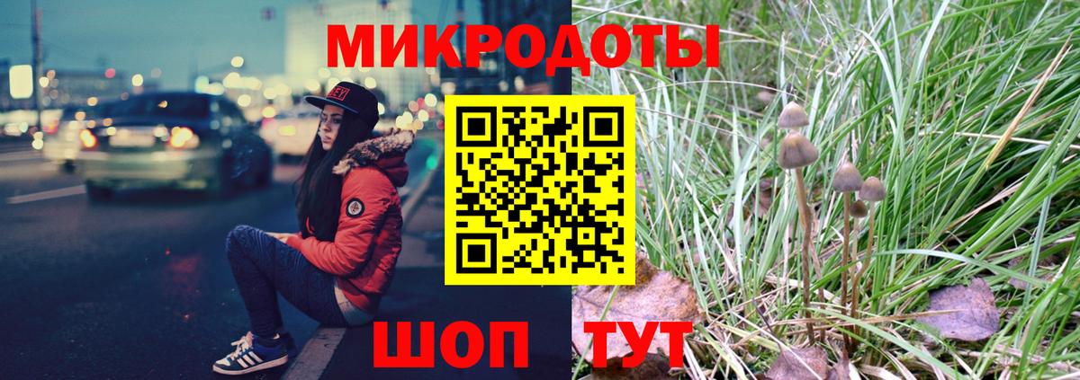 Псилоцибиновые грибы Psilocybine cubensis Коломна